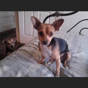 Meet your Posher, Xavier